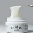 IVA nails | Моделирующий гель с блёстками Opal №003, 15гр