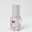 Ta2 / GEL POLISH WISH PREMIUM №005