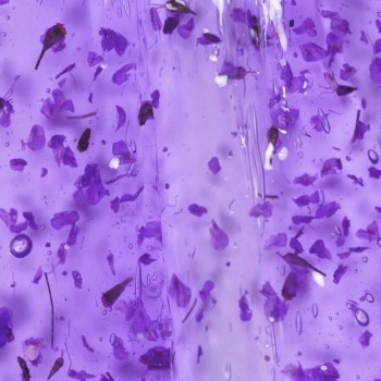 Ta2 BOTANIC GEL PURPLE