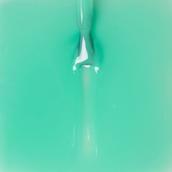 Изображение TOP AQUA MINT