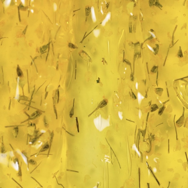 Ta2 BOTANIC GEL YELLOW