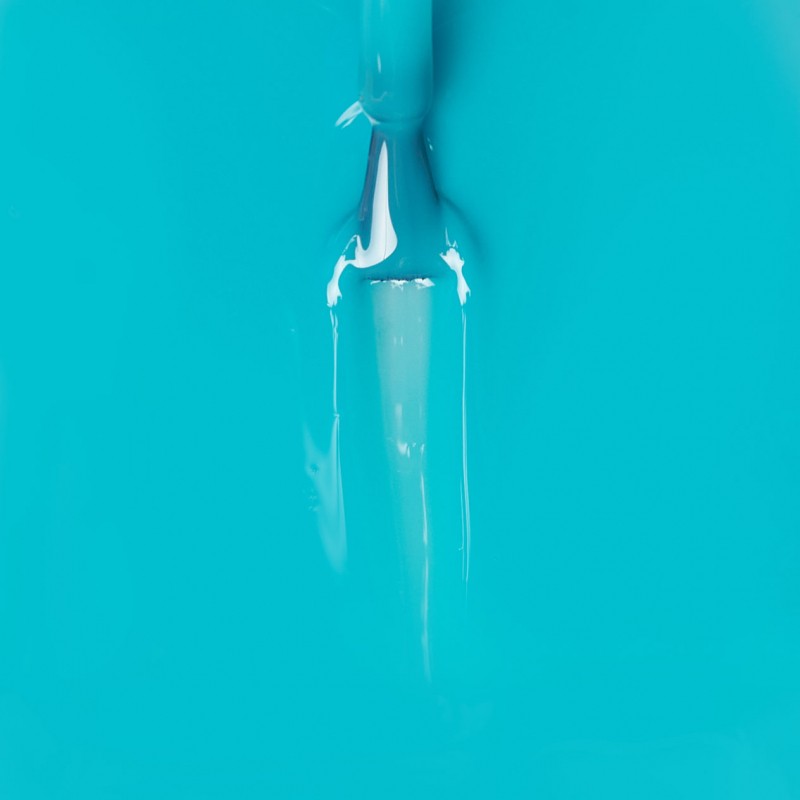TOP AQUA SEA